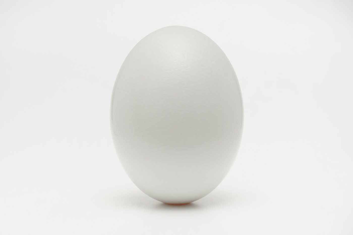 A single white egg on a clean white surface